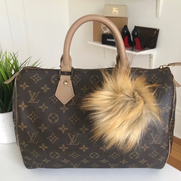 Louis Vuitton Handbags - LV Speedy 30